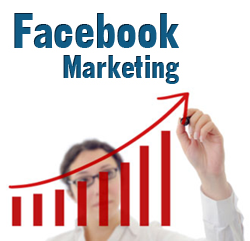Facebook Pay Per Click management Company, Face book Pay Per Click management, Facebook PPC Management Services