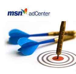 MSN PPC Management Service, MSN PPC Management Company, Best MSN PPC Management Agency, MSN PPC Bid Management