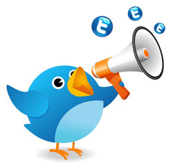 Twitter advertising cost, Twitter advertising tips, how does Twitter advertising work, Twitter advertising guidelines, Twitter advertising coupon, Twitter advertising strategy, free Twitter advertising, Twitter Advertising revenue, twitter marketing